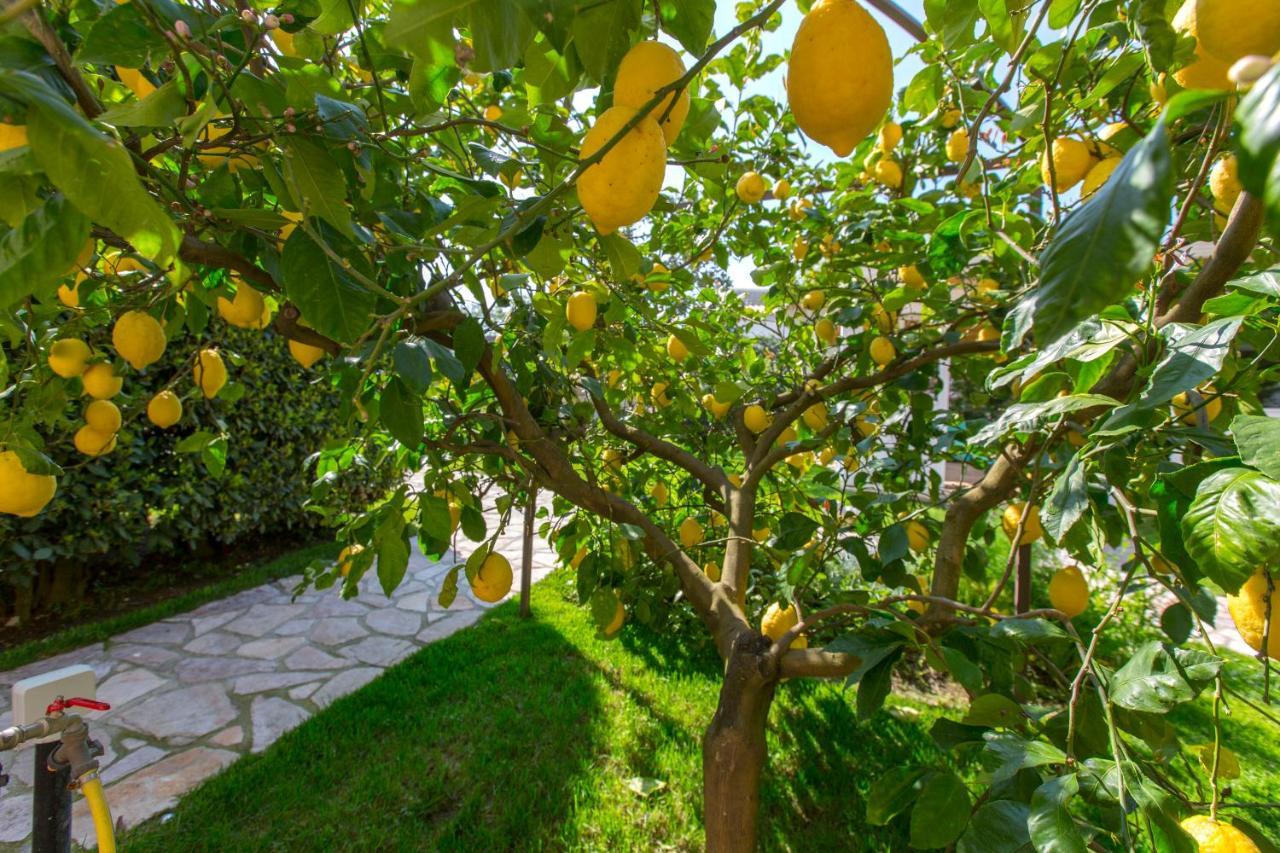 Resort Ravenna ماسّا لوبْرينسِ المظهر الخارجي الصورة